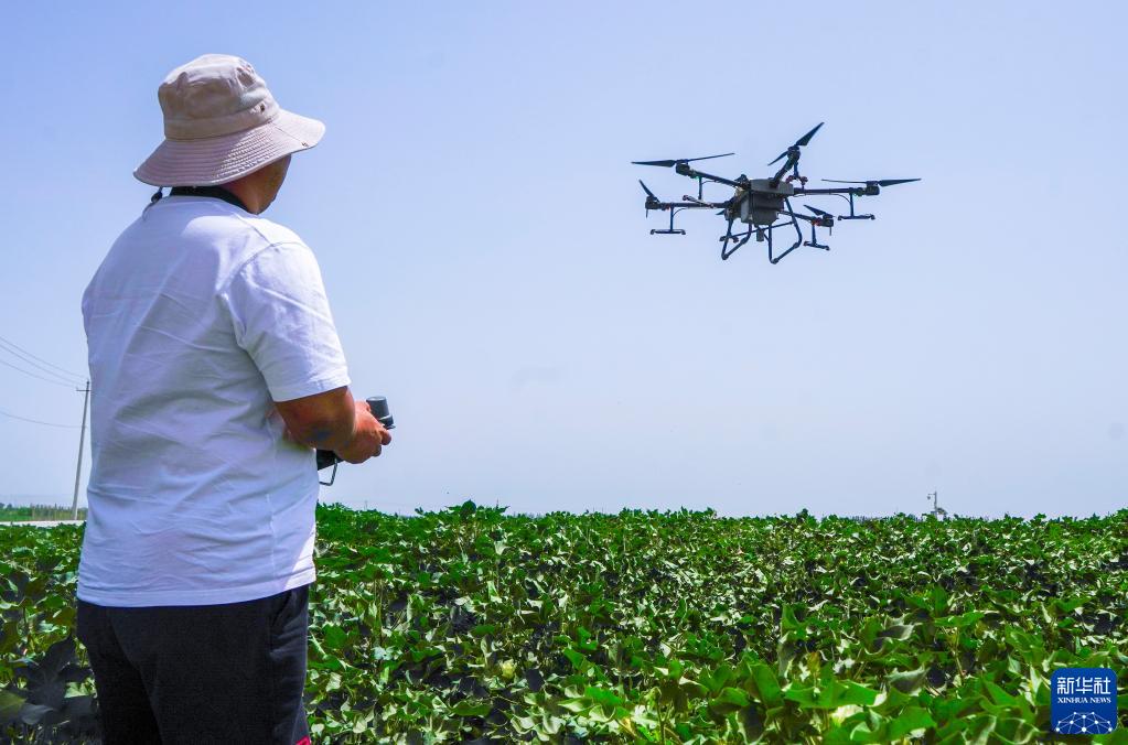 現(xiàn)代農(nóng)技助力新疆夏管夏收，智慧農(nóng)業(yè)迎來(lái)豐收季