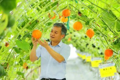 把論文寫在大地上 農(nóng)業(yè)科技工作者的深耕與奉獻(xiàn)