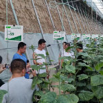 中國(guó)農(nóng)業(yè)科學(xué)院蔬菜花卉研究所 推動(dòng)農(nóng)業(yè)技術(shù)創(chuàng)新的前沿力量