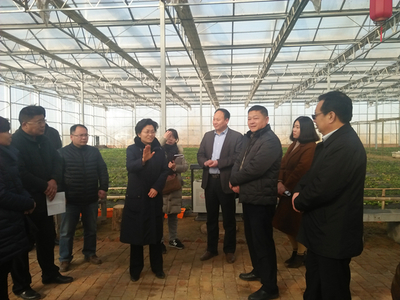 副市長(zhǎng)常英敏赴淇縣調(diào)研 推動(dòng)農(nóng)產(chǎn)品質(zhì)量安全與冬季農(nóng)業(yè)生產(chǎn)