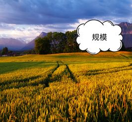 科技賦能農(nóng)業(yè)，智慧引領(lǐng)電商——為農(nóng)產(chǎn)品電商領(lǐng)域中的農(nóng)業(yè)技術(shù)研究者點(diǎn)贊