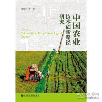 中國(guó)農(nóng)業(yè)技術(shù)創(chuàng)新路徑研究 探索現(xiàn)代農(nóng)業(yè)發(fā)展的核心動(dòng)力