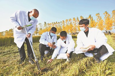 科技賦能，綠色希望——‘開(kāi)元上院杯’臨沂日?qǐng)?bào)新聞攝影大賽農(nóng)業(yè)技術(shù)研究專(zhuān)題作品集錦