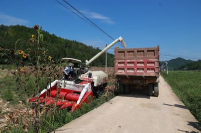 科技助力，省州專(zhuān)家團(tuán)隊(duì)赴施秉縣開(kāi)展中低產(chǎn)田產(chǎn)能提升與玉米大豆復(fù)合種植測(cè)產(chǎn)工作