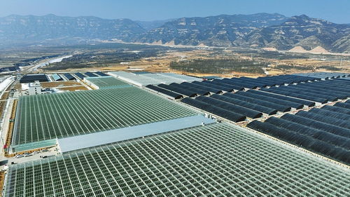 科技賦能，產(chǎn)業(yè)升級(jí) 山西陽(yáng)曲農(nóng)業(yè)產(chǎn)業(yè)化的創(chuàng)新實(shí)踐