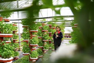 農(nóng)業(yè)產(chǎn)業(yè)周報(bào) 海大、伊利領(lǐng)銜行業(yè)動(dòng)態(tài)，資本聚焦智慧農(nóng)業(yè)與生物技術(shù)